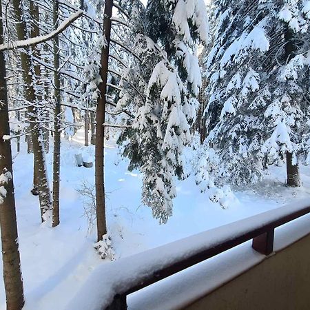Forest Apartment/ Villa Park بوروفتس المظهر الخارجي الصورة
