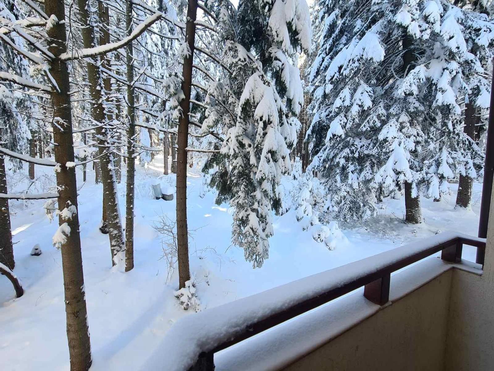 Forest Apartment/ Villa Park بوروفتس المظهر الخارجي الصورة