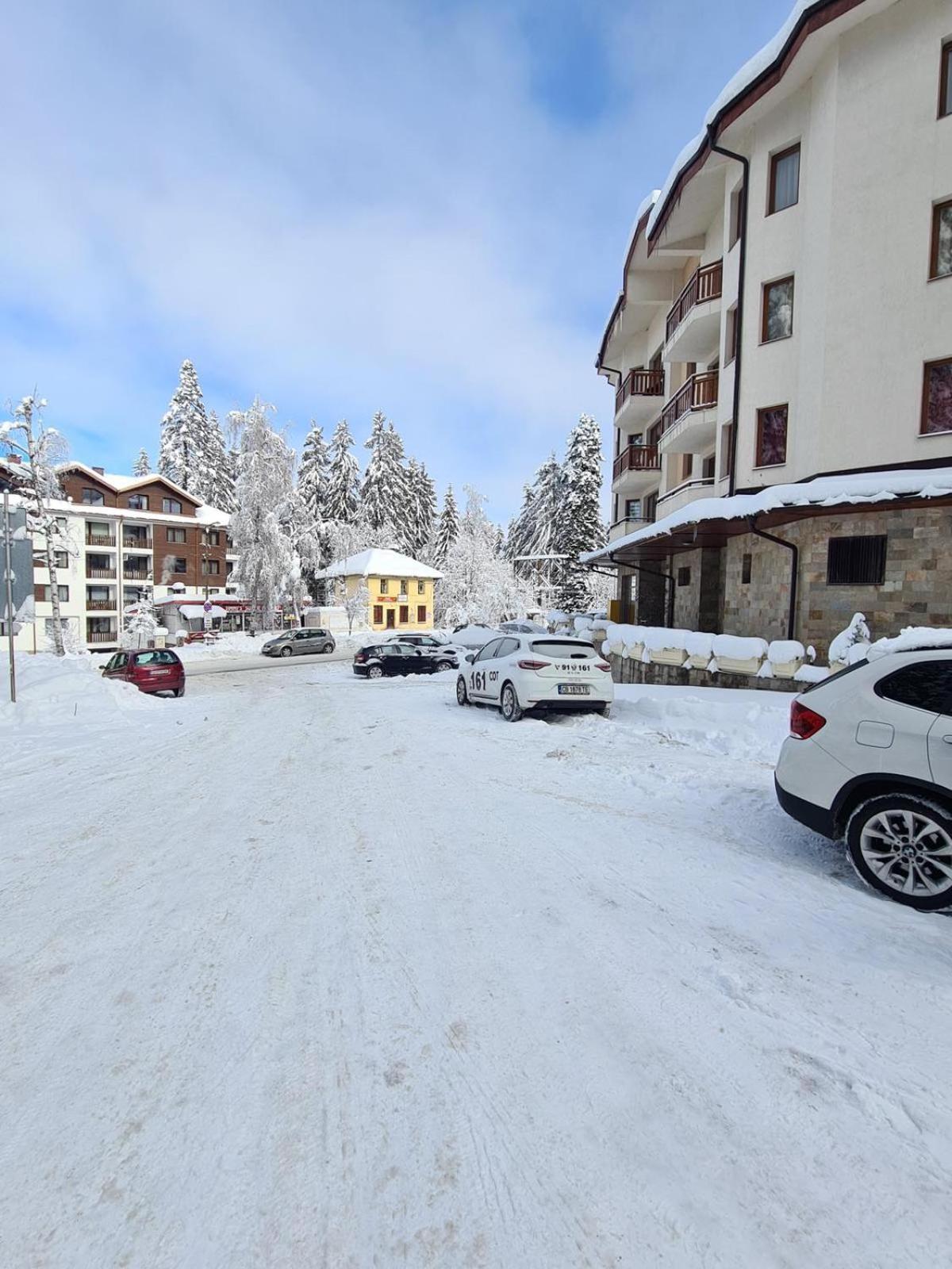 Forest Apartment/ Villa Park بوروفتس المظهر الخارجي الصورة